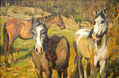 CABALLOS.