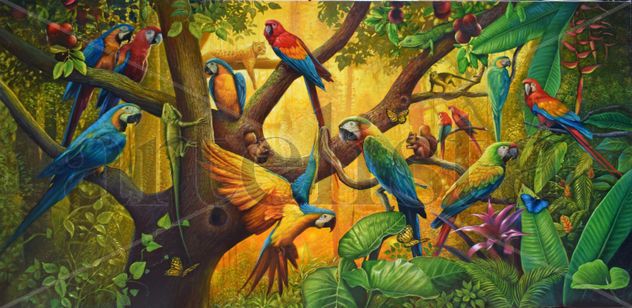 The Macaw Sunset