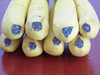 Platanos