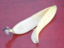 Piel de banana