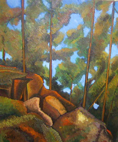 Bosc de la vaga...