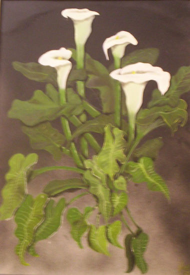 Calas Oil Panel Floral Painting