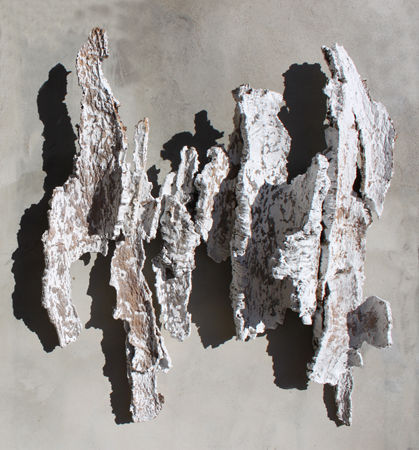 QUERCUS WALL II
