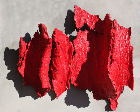 Quercus wall i