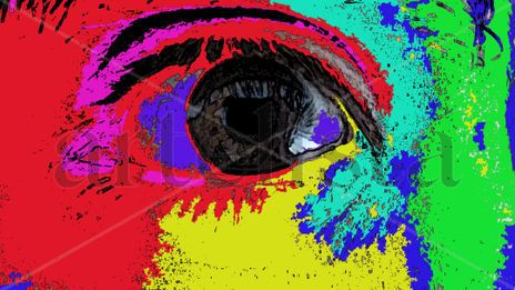 Amazon's Eye