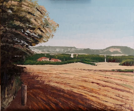 Paisaje verano Santiga