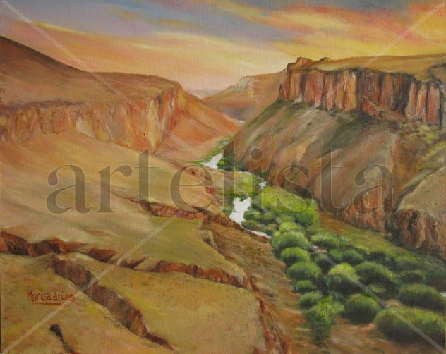 Cañadón Rio Pinturas