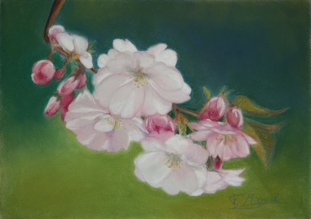 Cerezo en flor Pastel Paper Floral Painting