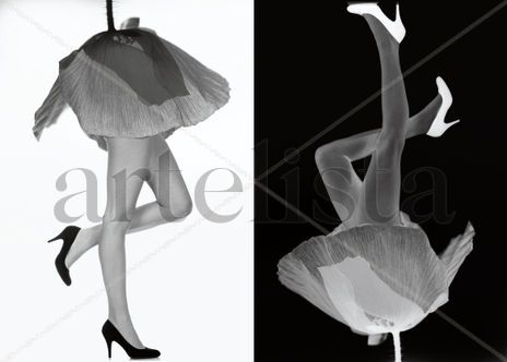 Flowerlegs