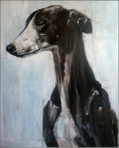 Galgo
