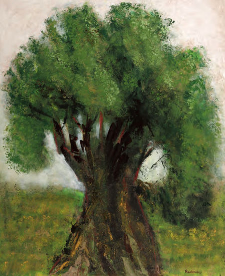 Árbol en Jerusalen Acrylic Panel Landscaping