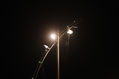 Arco Luz