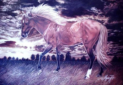 Caballo01 Oil Canvas Animals