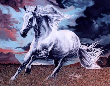 Caballo02 Oil Canvas Animals