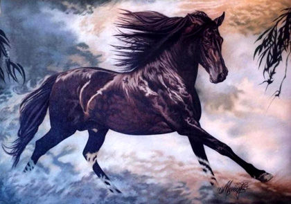 Caballo03 Oil Canvas Animals