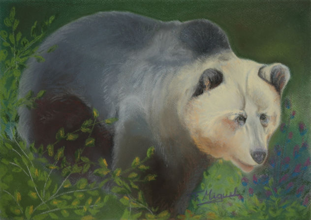 Oso pardo