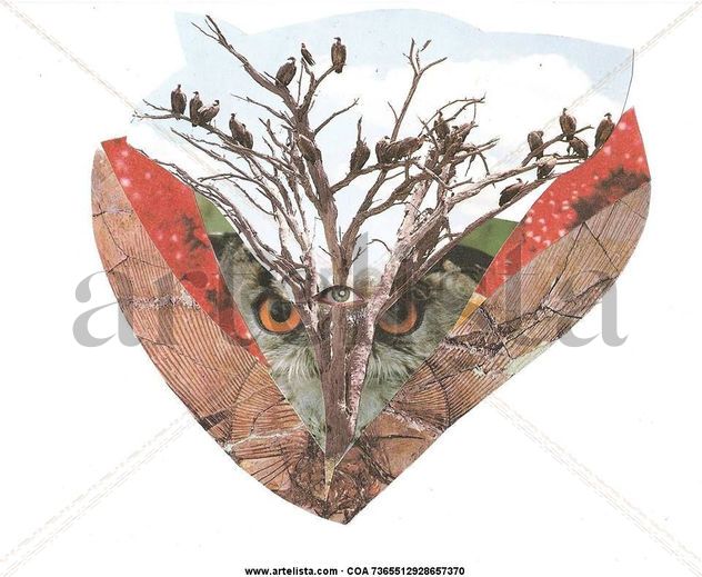 OBSERVADORES