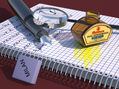 EL CUADERNO AZUL