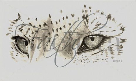 ANIMALES