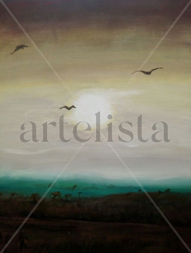 Atardecer con gaviotas