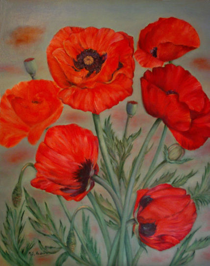 Amapolas II