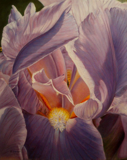 Iris VI Oil Canvas Floral Painting