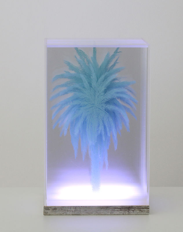 Palmera - Nicolette Jelen