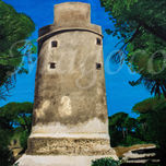 FAROS Y TORRES thumbnail 1