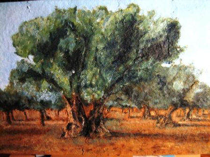 Olivo