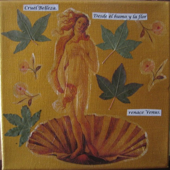 Nacimiento de Venus Lienzo Otros