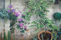 Clematis en mi jardín