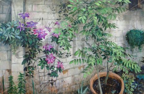 Clematis en mi jardín