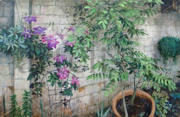 Clematis en mi jardín