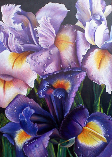 ORQUIDEAS Acrylic Panel Floral Painting