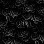 Rosas negras