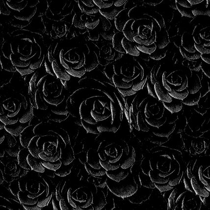 Rosas negras