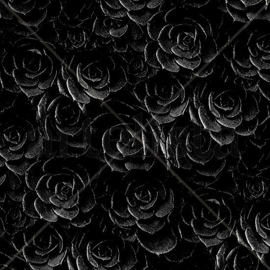 Rosas negras 