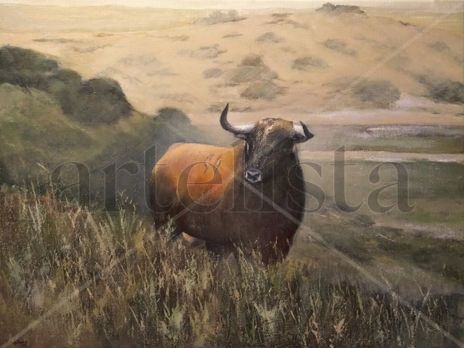 Toro bravo en la...