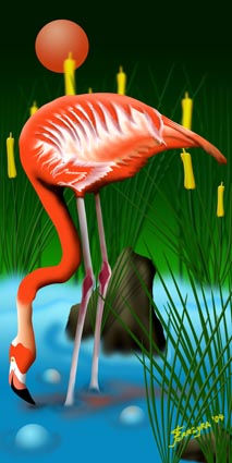 Flamingo 