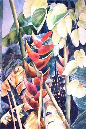 Riqui-riqui de barlovento Acuarela Papel Floral