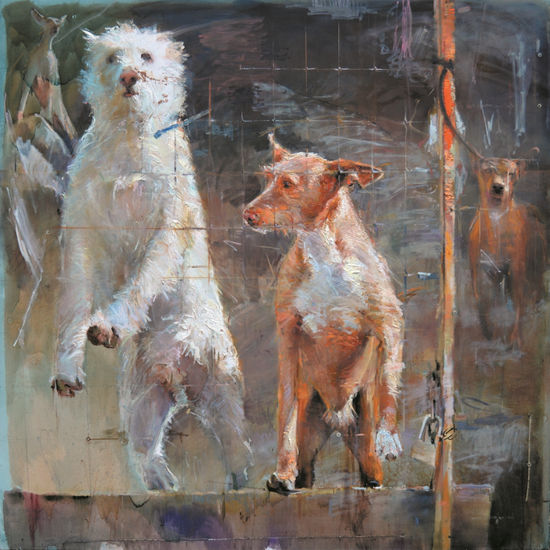 Esperando el domingo Oil Canvas Animals