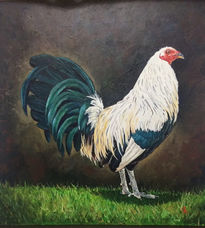 Gallo Blanco