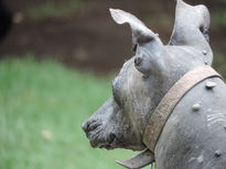 Xoloitzcuintle