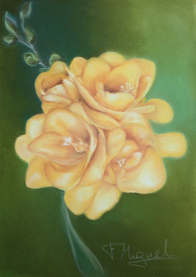 Freesias amarillas Pastel Paper Floral Painting