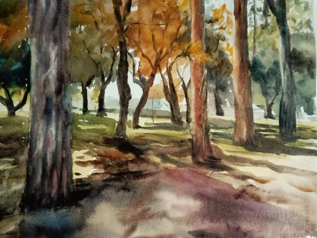 Luces y sombras Watercolour Paper Landscaping