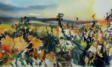 La luz del Vino