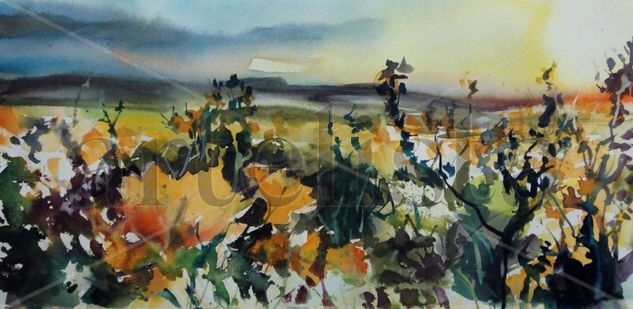 La Luz del Vino: Watercolour Paper Landscaping