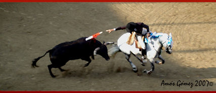 Matador