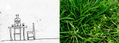 verdes