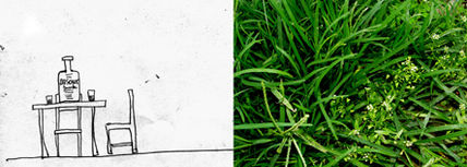 Verdes